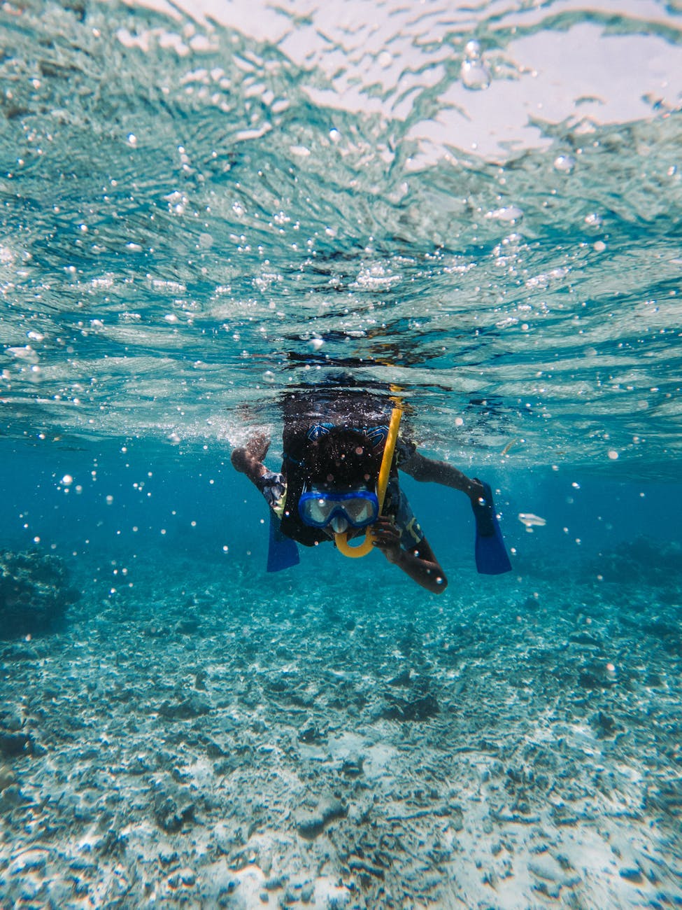 underwater picture of a person snorkeling